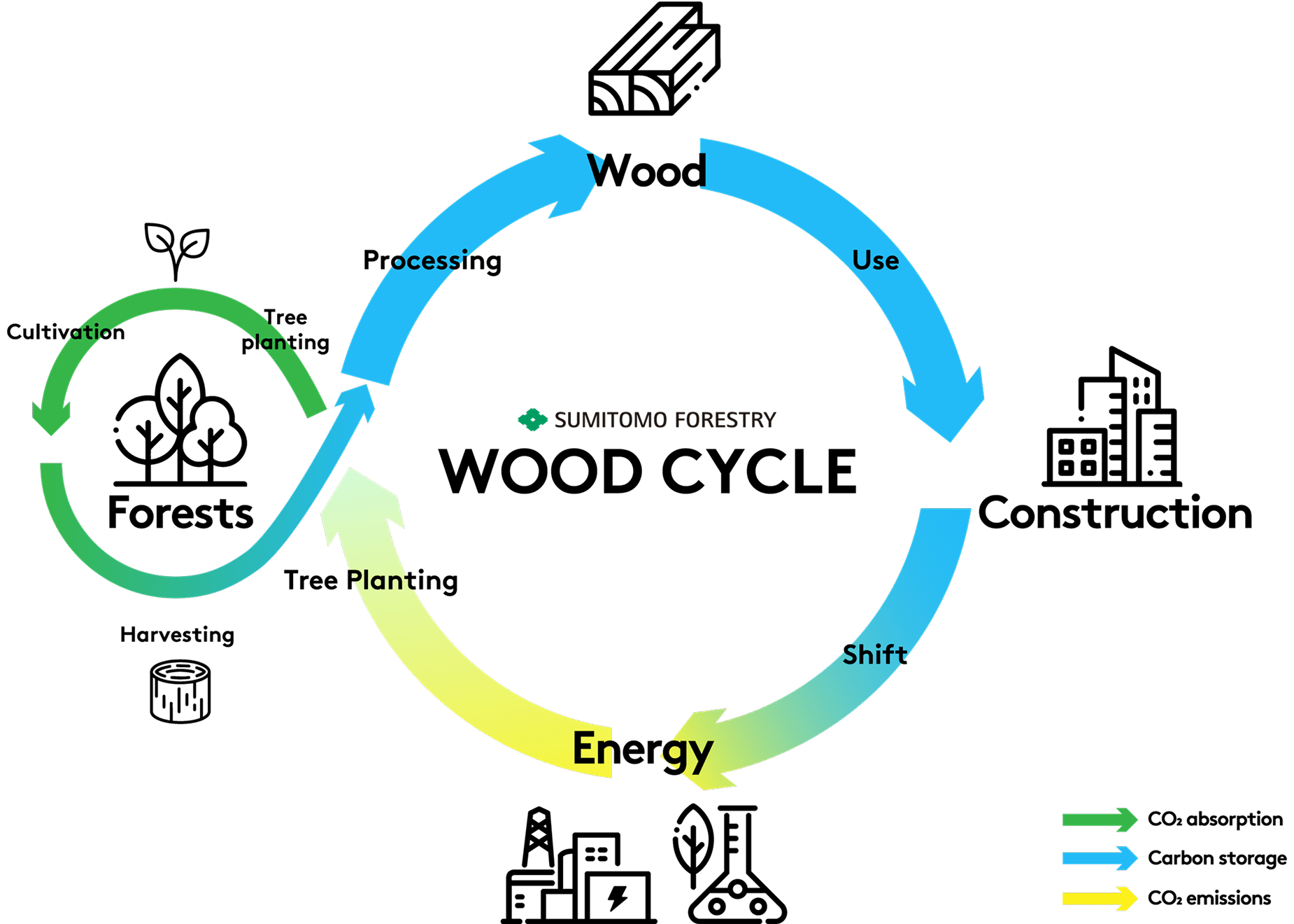 Sumitomo Forestry wood cycle diagram showing forests, wood processing, construction, and energy to reduce carbon emissions