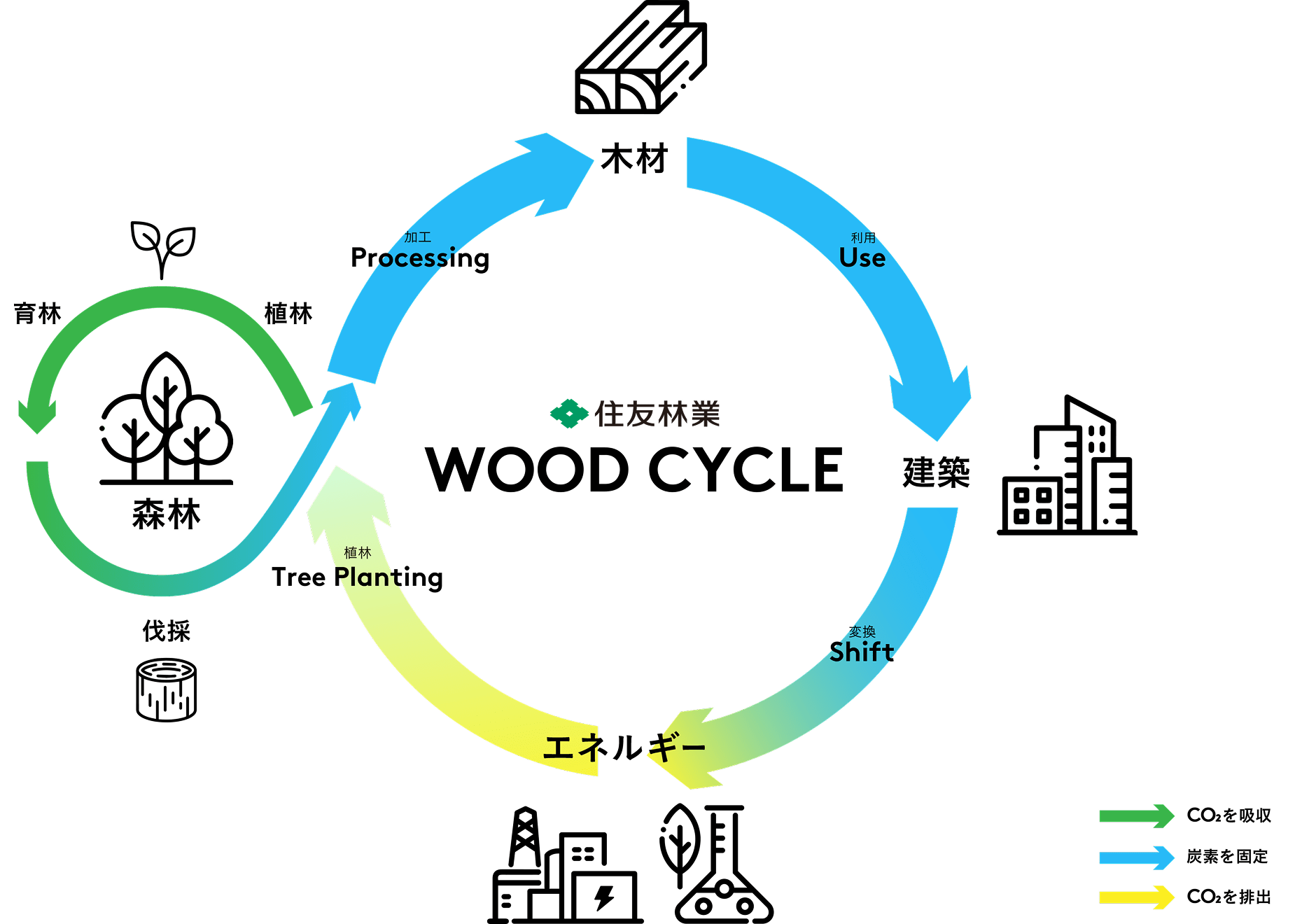 森林、木材加工、建設、エネルギーによる脱炭素を目指す Sumitomo Forestry のウッドサイクル図
